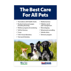 Our Vet Services Poster