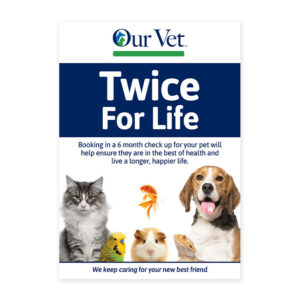 Twice for Life Poster