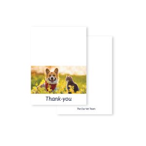 Thank You Cards